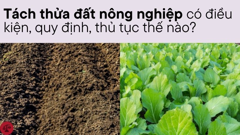 Tách thửa đất nông nghiệp