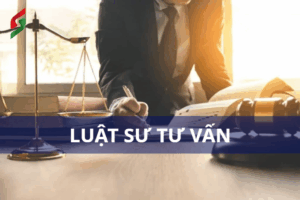 luật sư tư vấn