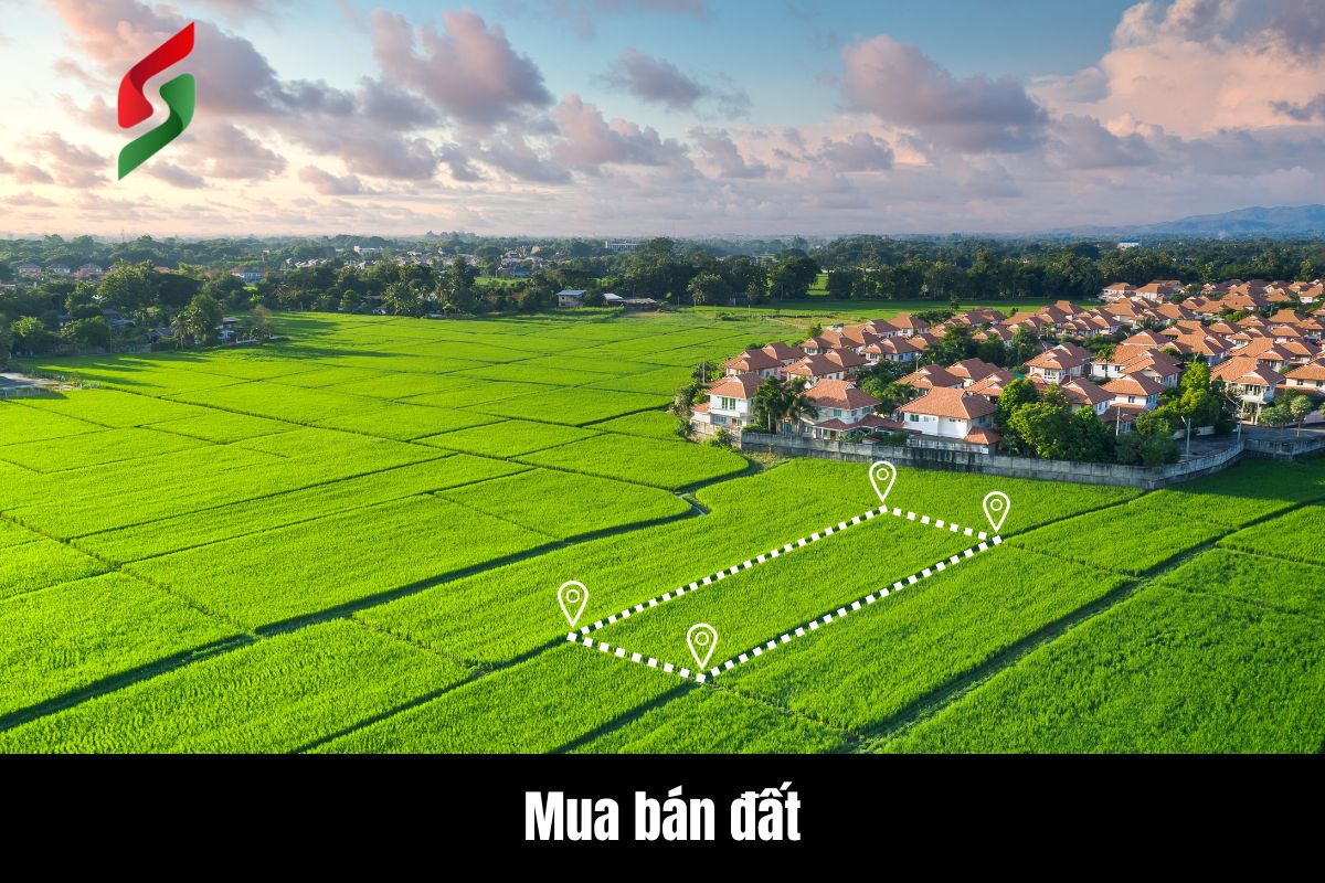 Thủ tục mua bán đất