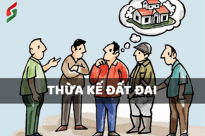 Tranh chấp đất đai trong gia đình, quyền sử dụng đất giữa anh em ruột. 2 thừa kế đất đai