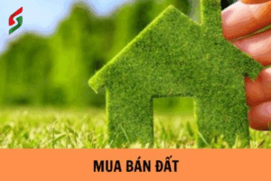 mua bán đất
