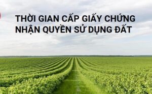 thời gian cấp giấy chứng nhận quyền sử dụng đất