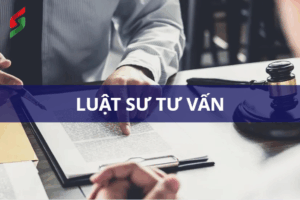 luật sư tư vấn