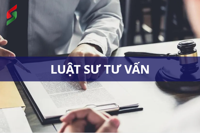 luật sư tư vấn