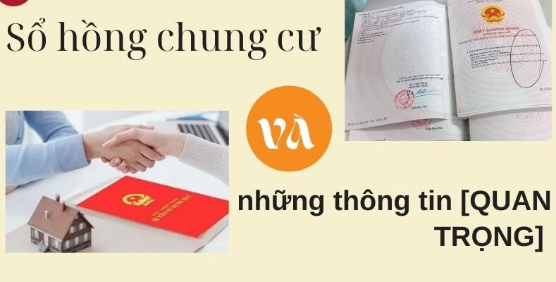 so-hong-chung-cu-50-nam-3