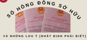 Sổ hồng đồng sở hữu