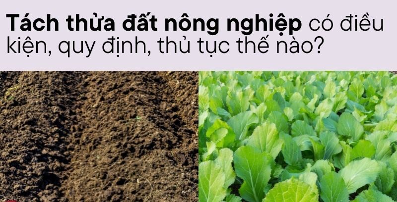 Tách thửa đất nông nghiệp có điều kiện, quy định, thủ tục thế nào? 15 Tách thửa đất nông nghiệp