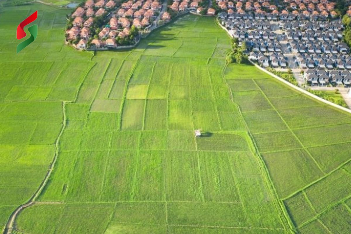 Tách thửa đất nông nghiệp có điều kiện, quy định, thủ tục thế nào? 2 thủ tục tách thử đất nông nghiệp