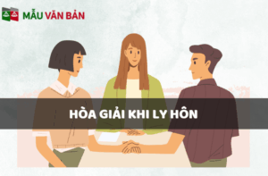 HÒA GIẢI LY HÔN 