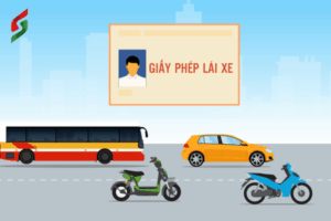 Không có giấy phép lái xe phạt bao nhiêu tiền 3 giấy phép lái xe