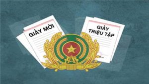 giay-trieu-tap-phan-biet-giay-trieu-tap-va-giay-moi