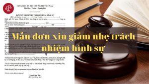 Mau-don-xin-giam-nhẹ-trach-nhiem-hinh-su