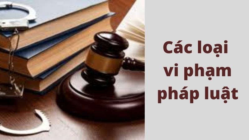 cac-loai-vi-pham-phap-luat