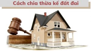 cach-phan-chia-theo-luat-thua-ke-dat-dai