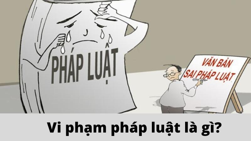 Vi phạm pháp luật bị xử lý như thế nào 2 vi-pham-phap-luat-la-gi