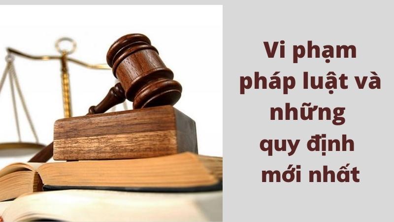 Vi phạm pháp luật bị xử lý như thế nào 11 vi-pham-phap-luat-theo-quy-dinh