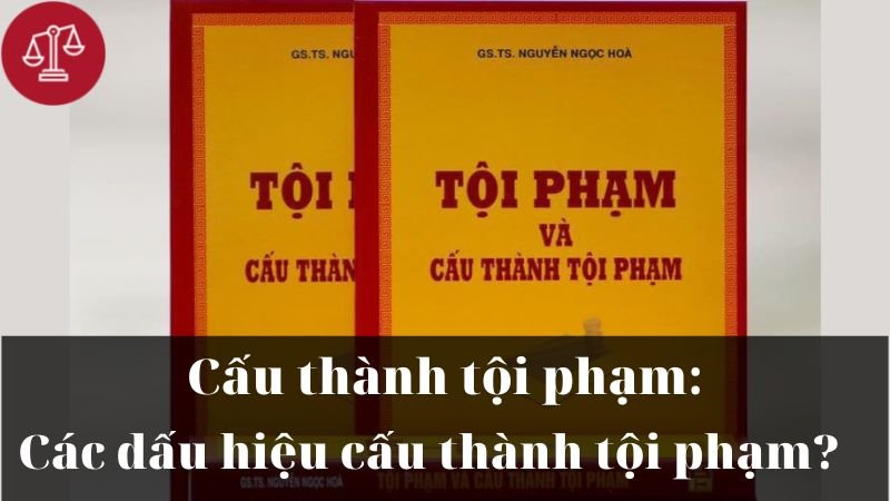 cau-thanh-toi-vo-y-lam-chet-nguoi