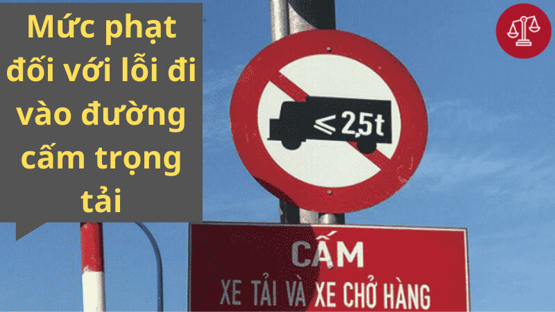 di-vao-duong-cam-phat-bao-nhieu-duong-cam-trong-tai