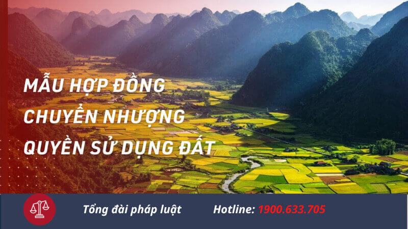 mau-hop-dong-chuyen-nhuong-quyen-su-dung-dat