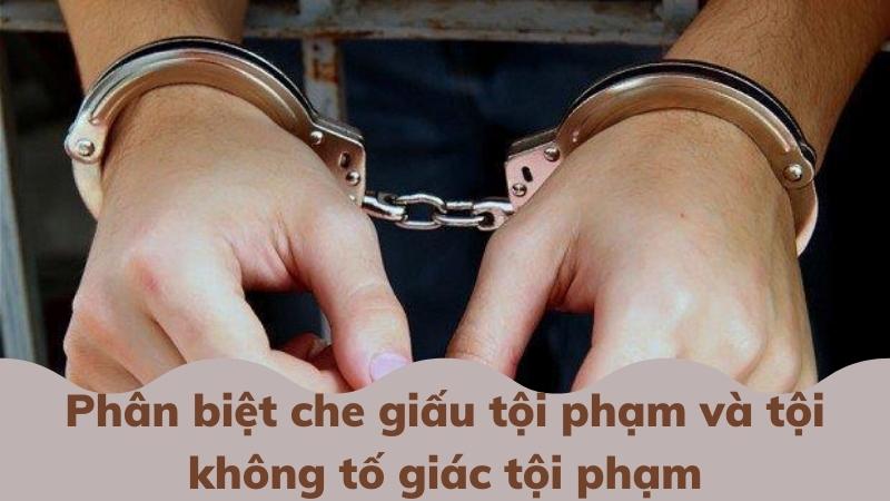 Tội không tố giác tội phạm có bị truy cứu trách nhiệm hình sự không? 2 phan-biet-che-giau-toi-pham-va-toi-khong-to-giac-toi-pham