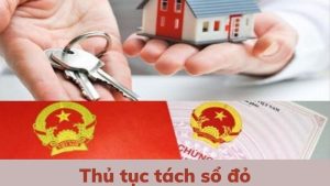 quy-dinh-thu-tuc-tach-so-do-cho-con