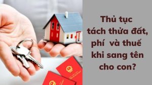 dien-tich-toi-thieu-tach-thua-dat