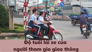 chua-du-tuoi-lai-xe-phat-bao-nhieu-theo-quy-dinh