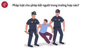 phap-luat-cho-phep-bat-nguoi-trong-truong-hop-nao