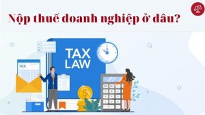 cac-loai-thue-doanh-nghiep-phai-nop-o-dau