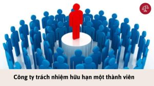 Công ty trách nhiệm hữu hạn một thành viên