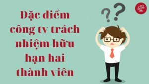 dac-diem-cong-ty-trach-nhiem-huu-han-hai-thanh-vien