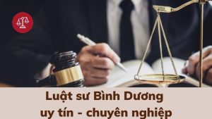 van-phong-luat-su-binh-duong-thai-thanh-hai