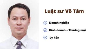 luat-su-binh-duong-vo-tam
