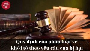 quy-dinh-phap-luat-ve-khoi-to-theo-yeu-cau-nguoi-bi-hai