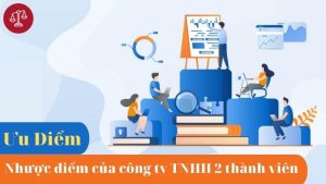 ưu-nhuoc-diem-cua-cong-ty-trach-nhiem-huu-han-hai-thanh-vien