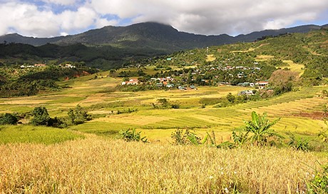 51955165227c41dd6ae7f