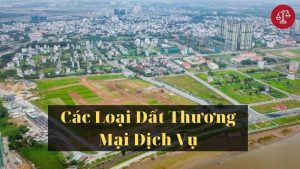 dat-thuong-mai-dich-vu-la-gi