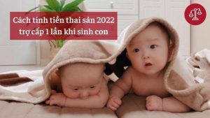 cach-tinh-tien-thai-san-2022-tro-cap-1-lan-khi-sinh-con