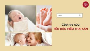 cach-tra-cuu-tien-bao-hiem-thai-san