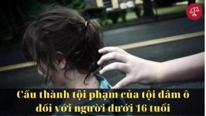 cau-thanh-toi-dam-o-doi-voi-nguoi-duoi-16-tuoi