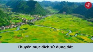 huong-dan-tinh-phi-chuyen-doi-dat-trong-cay-hang-nam-sang-dat-o