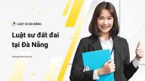 cong-ty-luat-da-nang-cong-ty-luat-gioi