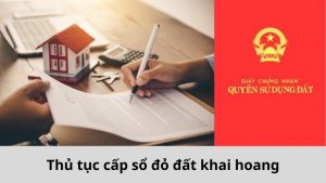 dat-khai-hoang-co-duoc-cap-so-do-khong?