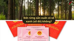 dat-rung-san-xuat-la-gi-co-so-do-khong