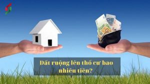dat-ruong-len-dat-tho-cu-bao-nhieu-tien