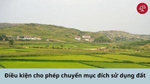 tu-van-phi-chuyen-doi-dat-trong-cay-hang-nam-sang-dat-o