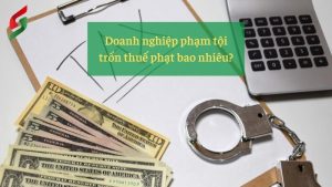 tron-thue-thu-nhap-ca-nhan-cu-the