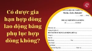 gia-han-hop-dong-lao-dong-bang-phu-luc
