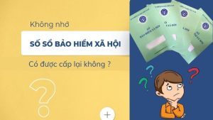 khong-nho-so-so-bao-hiem-xa-hoi-co-duoc-cap-lai-khong