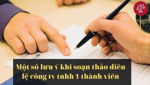 luu-y-khi-soan-thao-dieu-le-cua-cong-ty-tnhh-1-thanh-vien